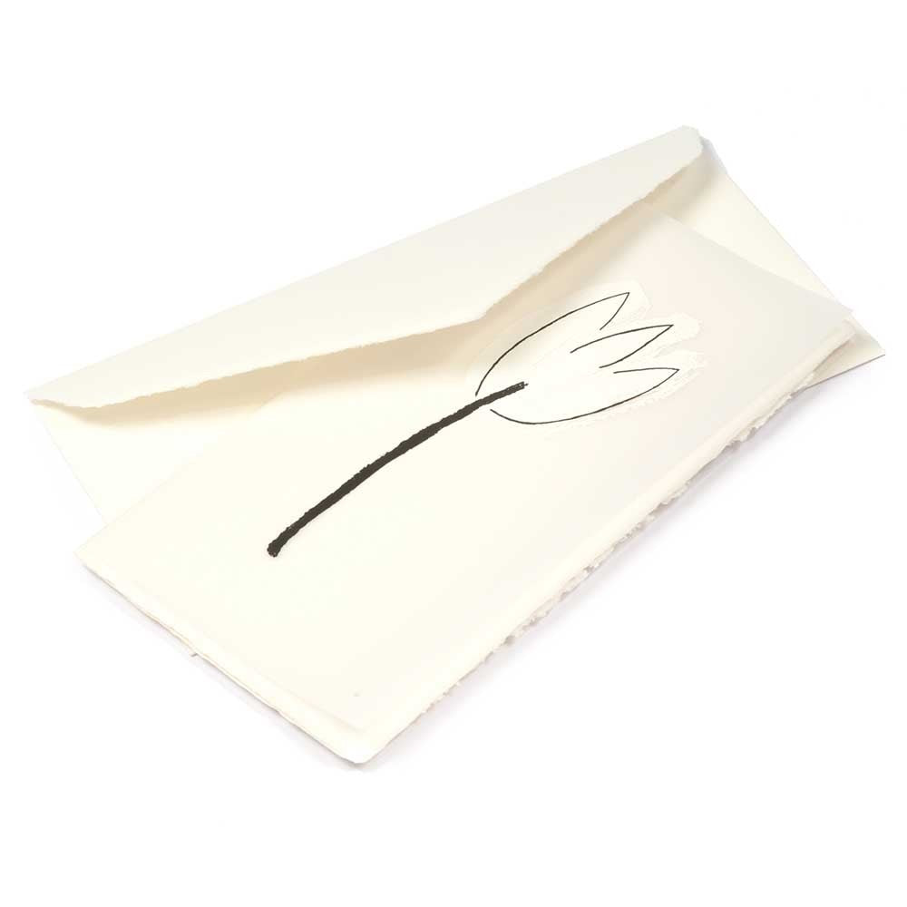 Tulipa, Deckle-Edge
