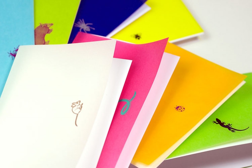 Greeting Card Box Creepy Crawlies, Set of 8 Cards