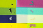 Greeting Card Box Creepy Crawlies, Set of 8 Cards