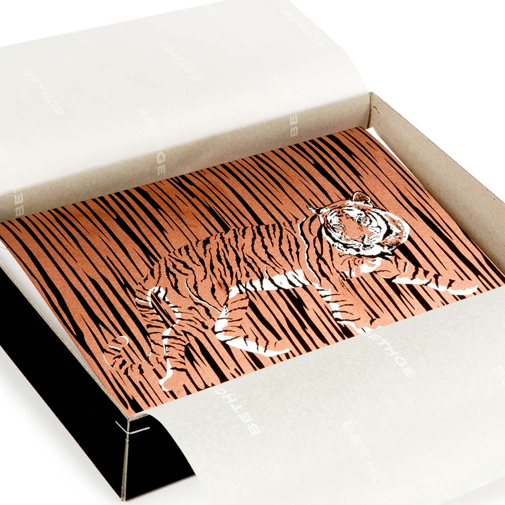 Greeting Card Box Zoo, Set of 8 Cards