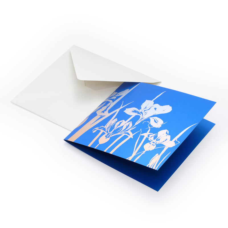 Iris Blue
