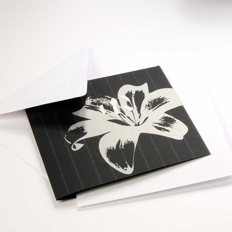 Lily on Pinstripe