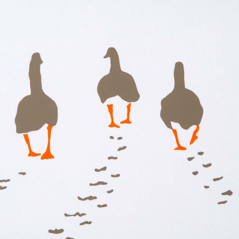 Geese