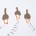 Geese