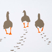 Geese