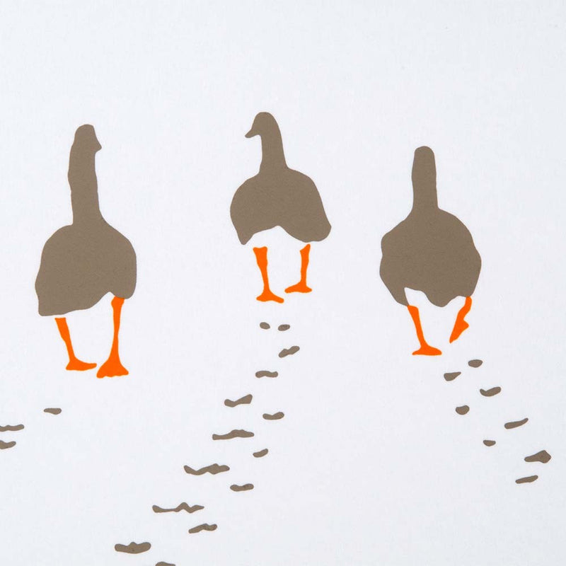 Geese "We just moved"
