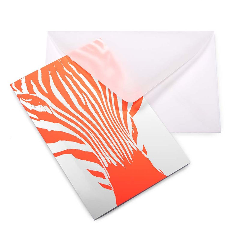 Zebra Neon Coral