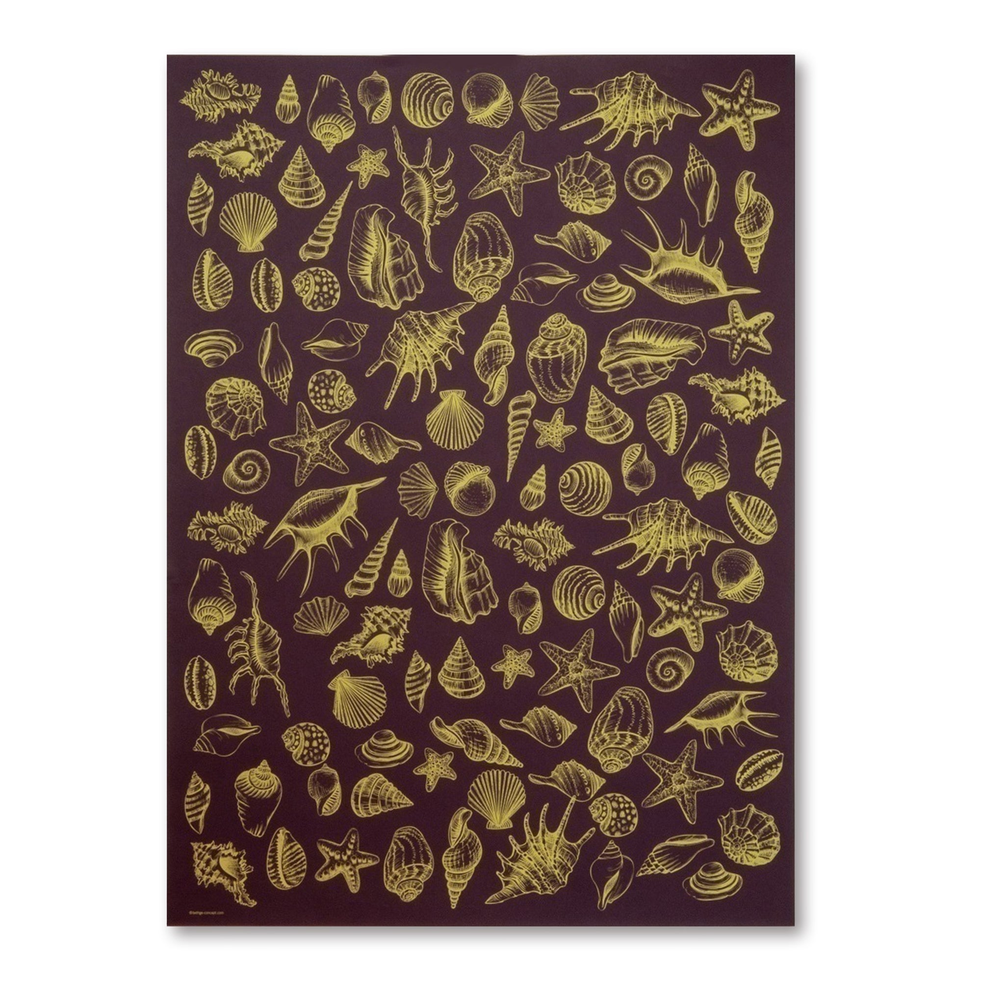 A deep eggplant wrapping paper with a rich, elegant feel, decorated with detailed seashell and starfish illustrations in shimmering gold, creating a luxurious and timeless maritime pattern.