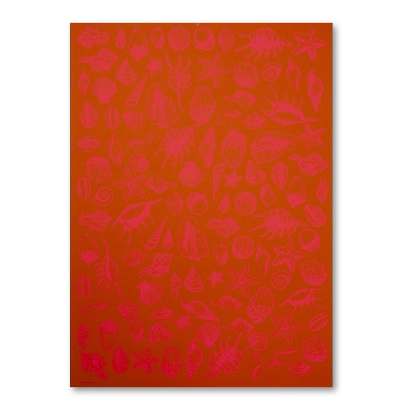 A warm orange wrapping paper covered in finely illustrated seashells and starfish in bright pink tones, arranged densely across the surface for a playful, coastal-inspired design.