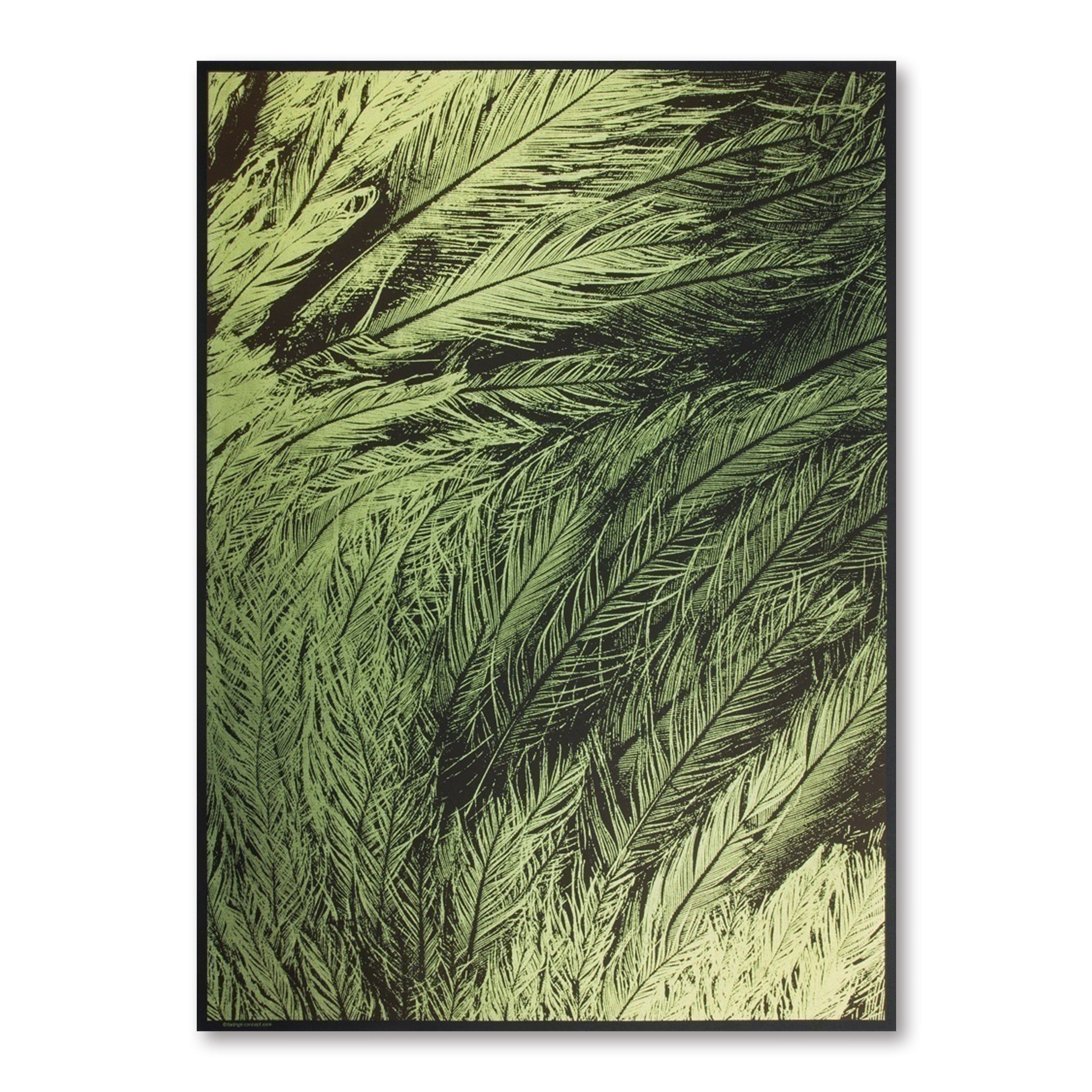 A deep green gift wrap design filled with layered feather illustrations in lighter green tones, creating a textured, organic pattern.