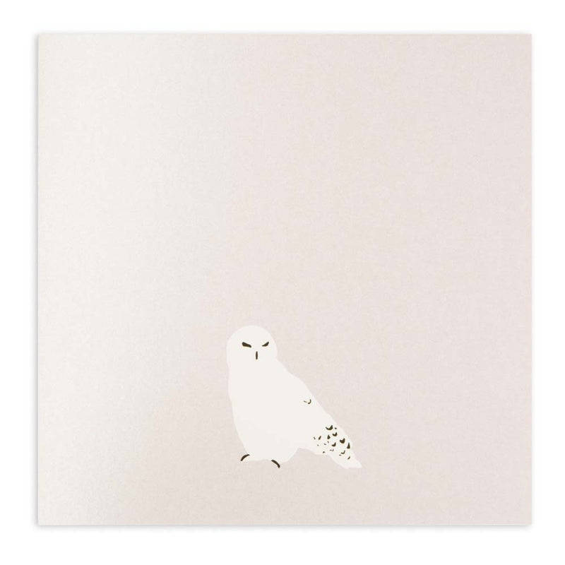 Minimalist Christmas card in pearly white with a simple illustration of a snowy owl.