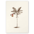Tropical-themed cream Christmas card featuring a finely sketched palm tree with a single gold ornament hanging from its fronds.
